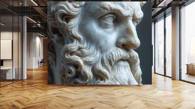 a statue of a bearded man Wall mural