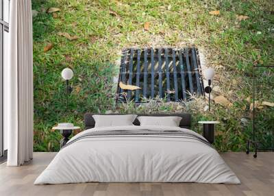 Drainage grate on a lawn Wall mural