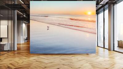 Gull standing on wet sand at sunrise on Maine beach Wall mural