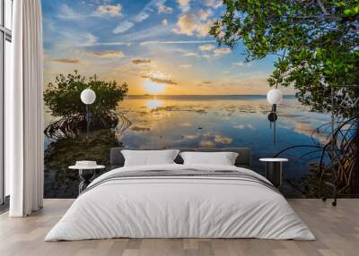 Colorful sky reflected in water of mangrove lagoon. Wall mural