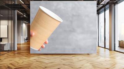 Eco friendly food packaging or takeaway coffee cup. Hand holding natural container for to go. zero waste, pollution, earth day, free plastic, world Environment day concept Wall mural