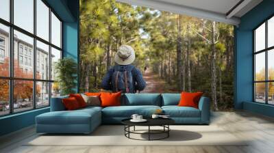 Young man with backpack and hat hiking in mountains during summer season, solo traveler walking in the forest. Travel, adventure and journey concept Wall mural