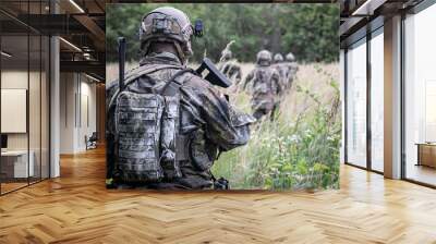 Soldaten im Feld Wall mural