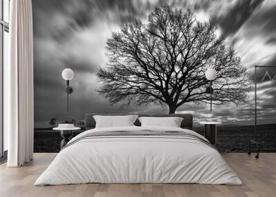 lonely tree in black and white on a field Wall mural