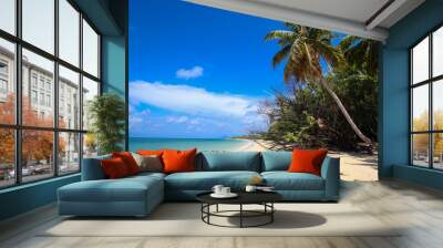 Plage nature des Salines en Martinique Wall mural