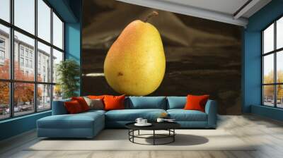 One yellow autumn pear on a black background Wall mural