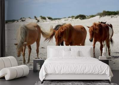 horses walking the beach Wall mural