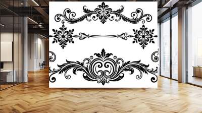 beautiful graphic with a black elegant plant ornament on an isolated background Wall mural