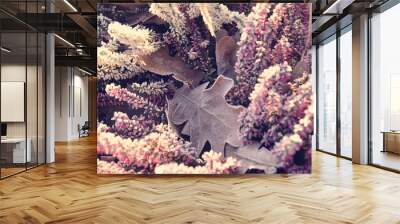 frosted white and purple heathers in the morning cold morning light Wall mural