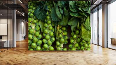 Brussel Sprouts Wall mural