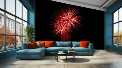 Fireworks  -  pink, red and violet. Wall mural