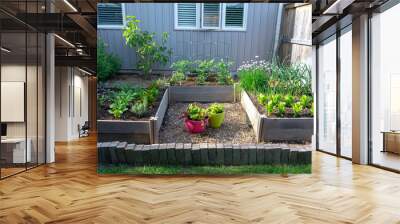 This small urban backyard garden contains square raised planting beds for growing vegetables and herbs throughout the summer.  Brick edging is used to keep grass out, and mulch helps keep weeds down. Wall mural