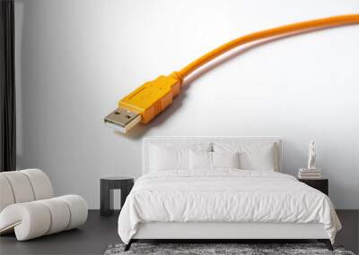 usb cable on white background Wall mural