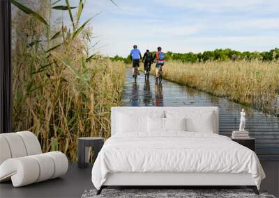  Cyclist crossing a footbridge over a lake in Valencia, Spain, inside a natural park. Wall mural