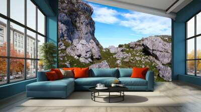 A rocky outcropping in the Picos de Europa region featuring a mix of grass and rocks.  Wall mural