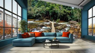 Place with waterfall and water passing by through rocks under wood bridge  Wall mural