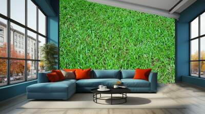 Vibrant green natural grass field for background or wallpaper Wall mural