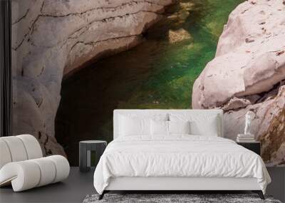 Bright green water flowing in the crevice of the rock is illuminated by the sun Wall mural