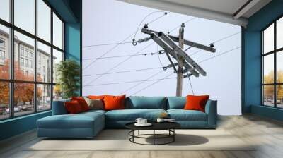 snowcapped electric Wall mural