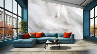 white feathers background Wall mural