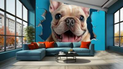 Playful French Bulldog Breaking Through Wall - An adorable French Bulldog puppy bursting through a turquoise wall with a joyful expression, showcasing its playful and curious nature. Wall mural