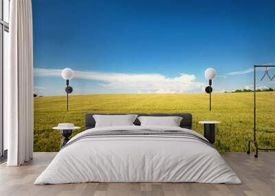 A field of grain on a hillside with a beautiful spacious blue sky. Wall mural