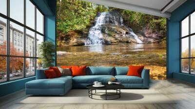 A small waterfall in the woods spilling into a pool. Wall mural