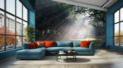 forest glade Wall mural