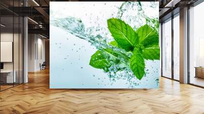 Green fresh mint herb in cold water splash with bubble for a drink. Wall mural