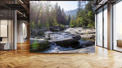 Yosemite Fall 2019 Wall mural