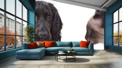 dog and cat Wall mural