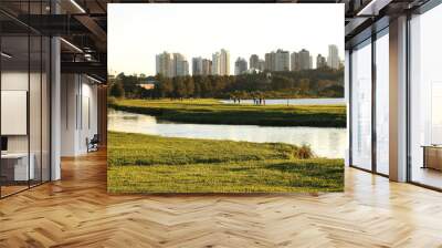 central park in new york city Wall mural