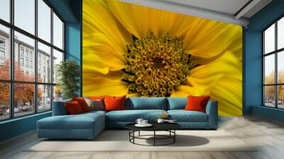 Extreme closeup of bright yellow sunflower Wall mural