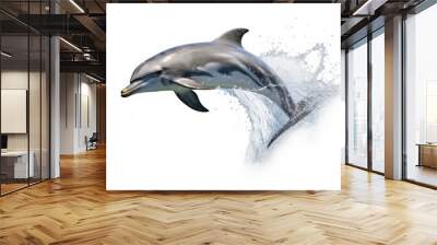 Dolphin jumping out of water, dolphin isolated on white background, dolphin jumping isolated on white. Wall mural