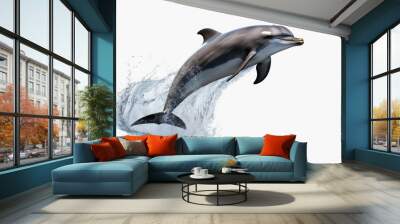 Dolphin jumping out of water, dolphin isolated on white background, dolphin jumping isolated on white. Wall mural