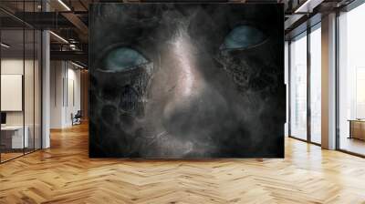 3d illustration portrait of scary ghost woman,Horror image,Ghost image concept and ideas Wall mural