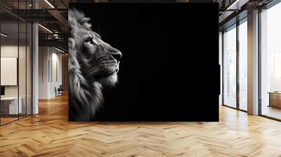 Black and white photorealistic studio portrait of a Male Lion on black background. Generative AI illustration Wall mural