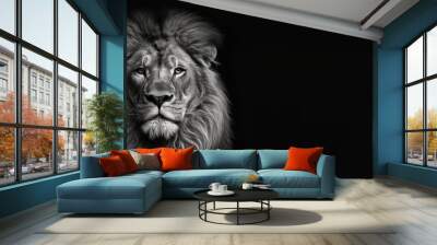 Black and white photorealistic studio portrait of a Male Lion on black background. Generative AI illustration Wall mural