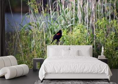 Bird on reeds Wall mural