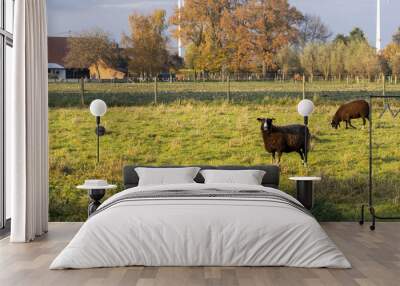 Landscape view of a field and two sheep grazing the grass Wall mural