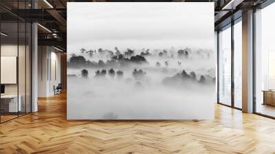 sea of clouds over the forest, Black and white tones in minimalist photography Wall mural