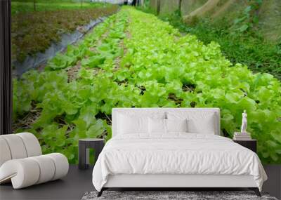 vegetable for good health Wall mural