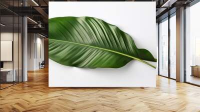 beautiful tropical leaf isolated on white background flat lay Wall mural