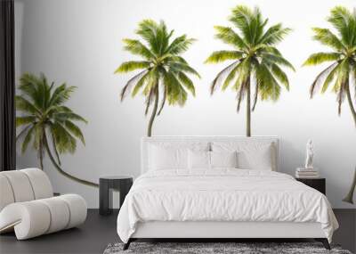 Coconut trees in different stems, Isolated on transparent background Wall mural