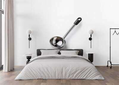 A silver ladle with a black handle rests on a white surface. Wall mural