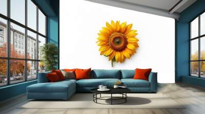 A single yellow sunflower is isolated on a white background. Wall mural