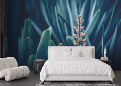 Aloe Flower with vintage style Wall mural