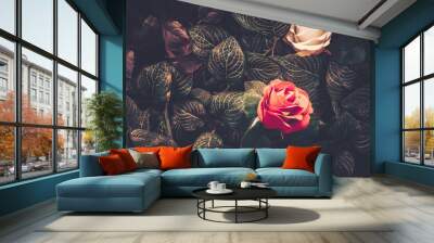 Artificial Flowers Wall for Background in vintage style Wall mural