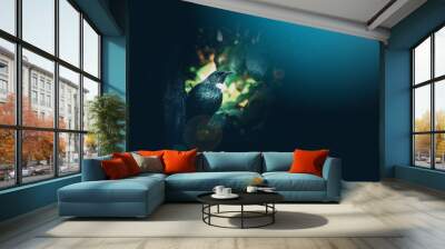 The Beautiful New Zealand Tui Brid Wall mural