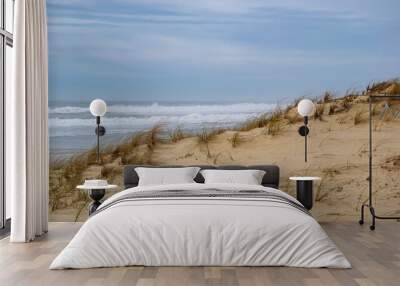 sand dunes near the ocean Wall mural